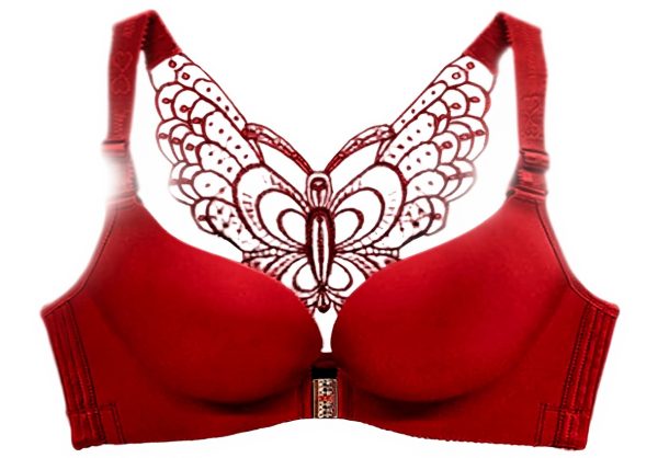 Soutien-gorge dentelle GOOg extensible confort microfibre
