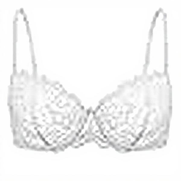 Soutien-gorge Deyllo push-up armatures dentelle femme grande