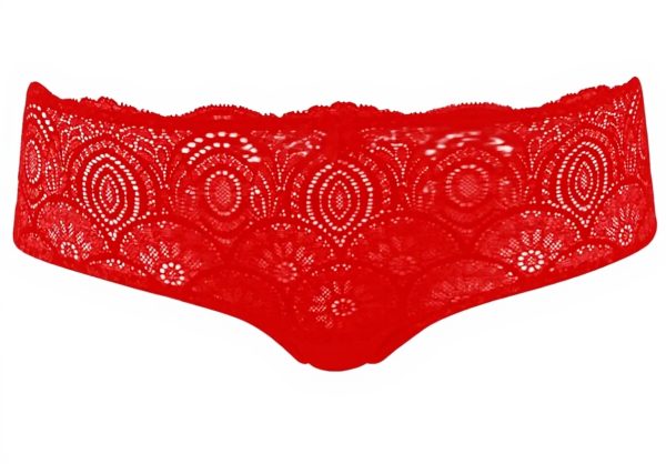 Wonderbra Shorty Dentelle Glamour Raffiné Rouge Brique