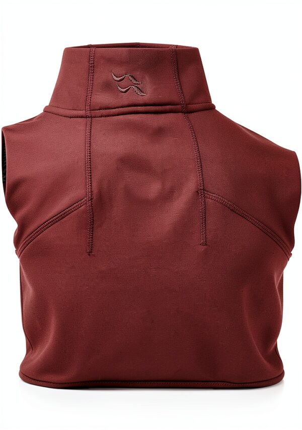 RAB Geon Pull on Polaire Homme - Rouge Sang de Bœuf Taille M-4